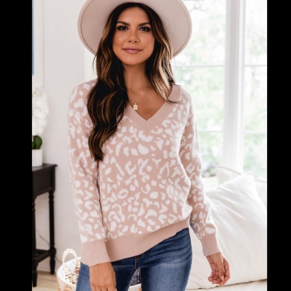 Neutral Animal Print V-Neck Sweater